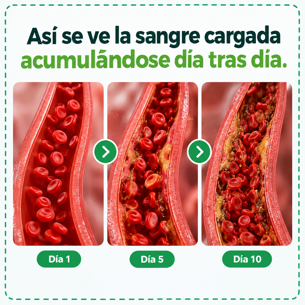 Piel opaca y vientre hinchado